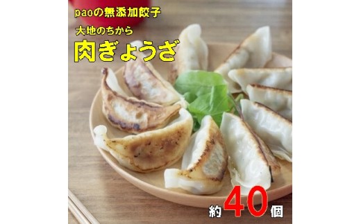 
paoの無添加餃子「大地のちから 肉ぎょうざ」840g(約40個) 餃子 ギョーザ 惣菜 冷凍 中華 点心 おかず おつまみ 国産野菜 058008
