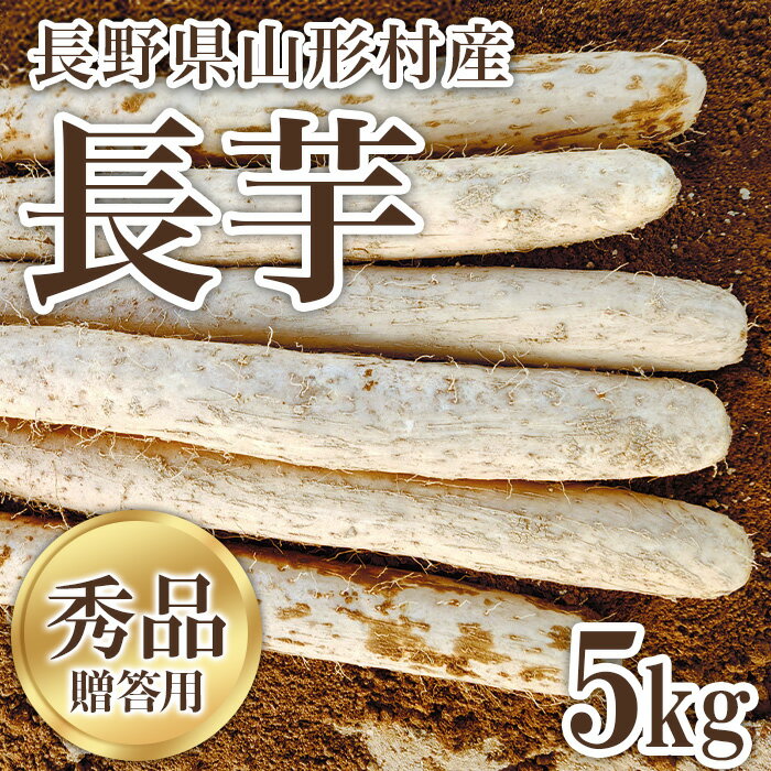【ふるさと納税】3213 信州山形村産 長いも 秀 5kg