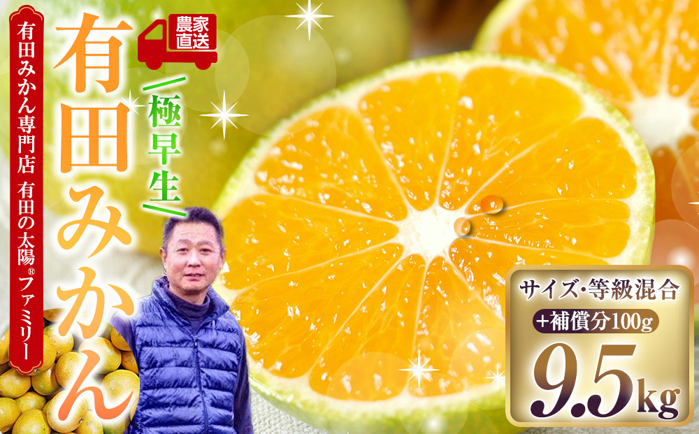 有田みかん専門店 有田の太陽®ファミリー 極早生 有田みかん 9.5kg＋補償分100g 山採れ・サイズ・等級 混合