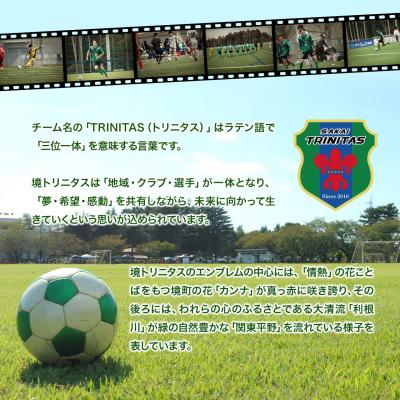ふるさと納税 境町 【5日以内発送】 境トリニタス応援ボックスティッシュ 400枚(200組)×20箱 日用品 消耗品 |  | 03