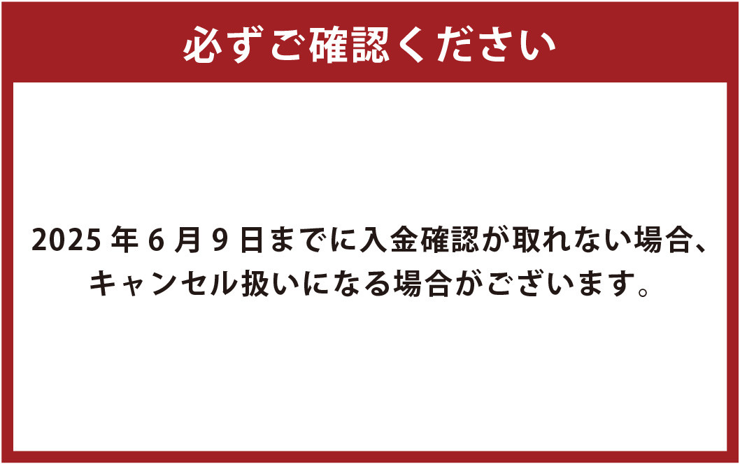 【父の日用】マッチビール 6本 ビール お酒 