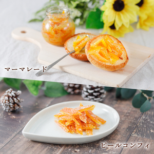 【自然栽培】潮風たっぷり!自然栽培 いよかん 冷凍 ピール 皮 ｜ いよかん お菓子づくり マーマレード お酒 伊予柑 愛媛県産 みかん 自然栽培  柑橘 ミカン ﾐｶﾝ 愛媛県産 家庭用 えひめのみ