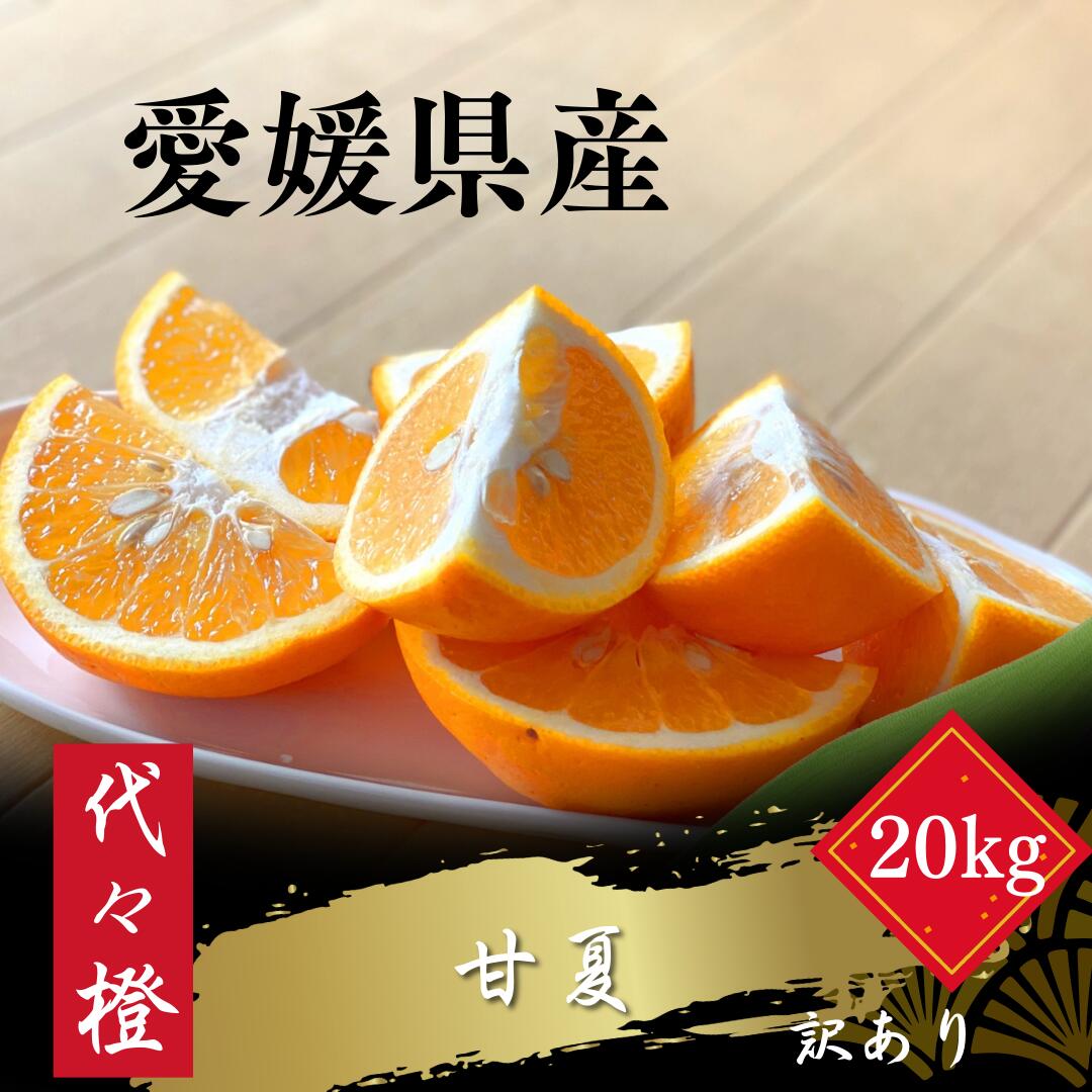 【ふるさと納税】【ほろ苦くて甘酸っぱい】【訳あり】甘夏 20kg【H83-29】_【1557497】 YWTW029