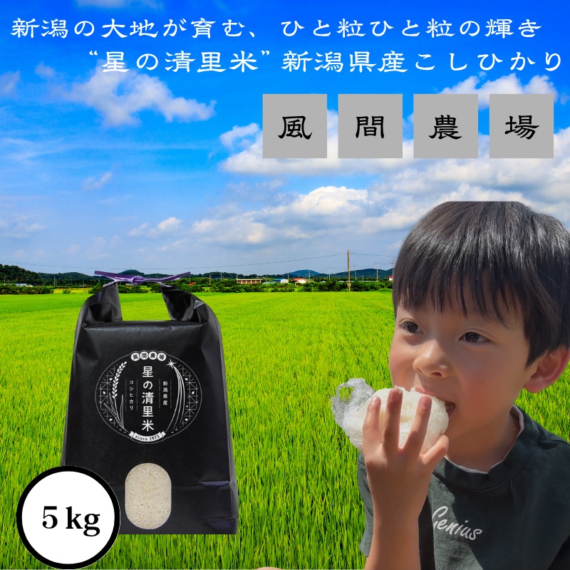 令和7年 新潟県上越市産 従来 コシヒカリ 精米済5kg 5キロ こしひかり お米 米 精米 送料無料