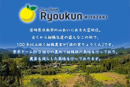 先行予約 みつばちみかん 計3kg以上 傷み補償分付き 期間限定 数量限定 果物 くだもの フルーツ 蜜柑 ミカン 柑橘 オレンジ おやつ デザート みかんジュース 飲み物 小ぶり おすすめ おすそ分