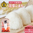 【ふるさと納税】《 新米 》 令和6年産 特別栽培米 「 淡雪こまち 」 精米 5kg 定期便 （合計10～60kg） JA かづの産直センター 米 白米 お米 こめ ふっくら もっちり 甘い ギフト お中元 お歳暮 ふるさと 返礼品 鹿角市 秋田 送料無料 【おらほの市場】