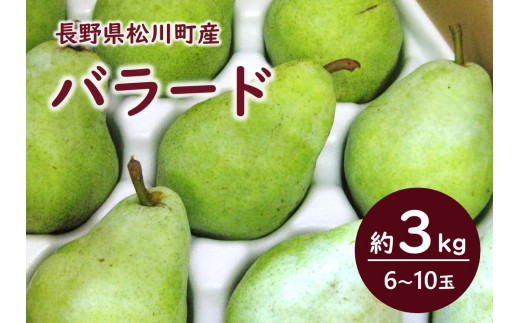 KL09 洋梨 バラード 約3kg 贈答 松川町産／2026年10月中旬頃から配送予定 // 長野県 松川町 梨 洋梨 洋ナシ バラード ラフランス交配品種 日本生まれ 農家直送 西洋梨 果物 フルーツ