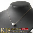 【ふるさと納税】K18 南洋 真珠 スルー ネックレス 12.0mm アジャスター付き 国産 日本産 スルーネックレス パール 冠婚葬祭 フォーマル 入学式 卒業式 成人式 母の日 ギフト ジュエリー アクセサリー レディース 送料無料