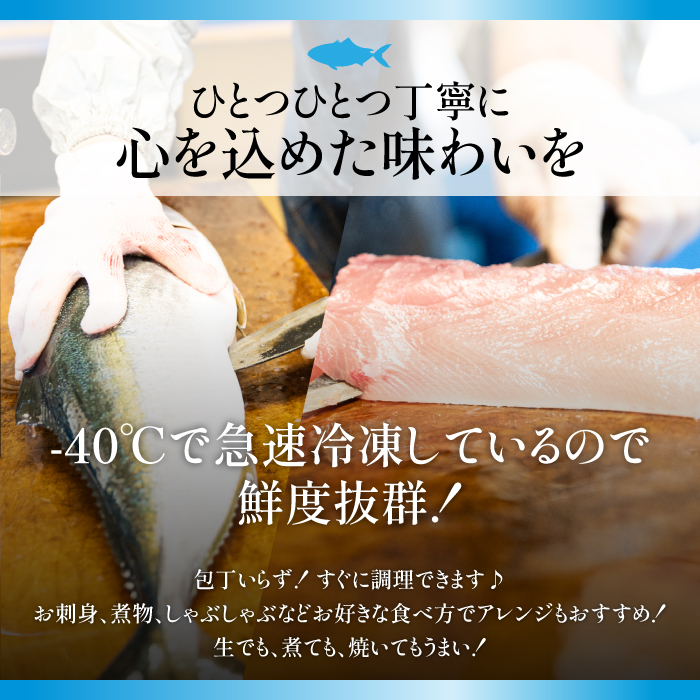 らくらく調理ぶりセット(5種) 魚セット ぶり 柵 刺身 ブリ 切り身 鰤 フィレ 焼くだけ 簡単調理 おかずセット 【山崎海産】_yama-6022