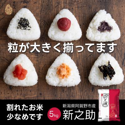 ふるさと納税 阿賀野市 【令和7年産】新潟県阿賀野市産 新之助 5kg 米杜氏 壱成 白米 精米