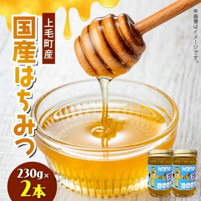 ふるさと納税 上毛町 国産はちみつ(上毛町産)230g×2本