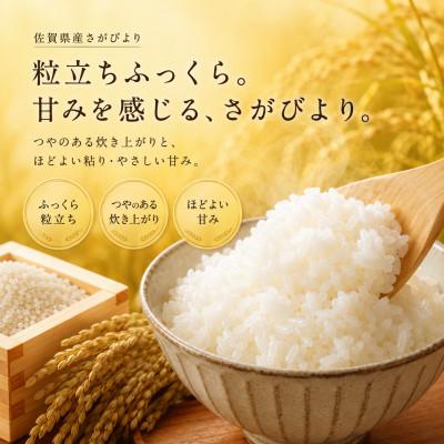 ふるさと納税 佐賀県 令和7年産 さがびより 白米10kg(5kg×2袋)五つ星お米マイスター厳選(佐賀県) |  | 01