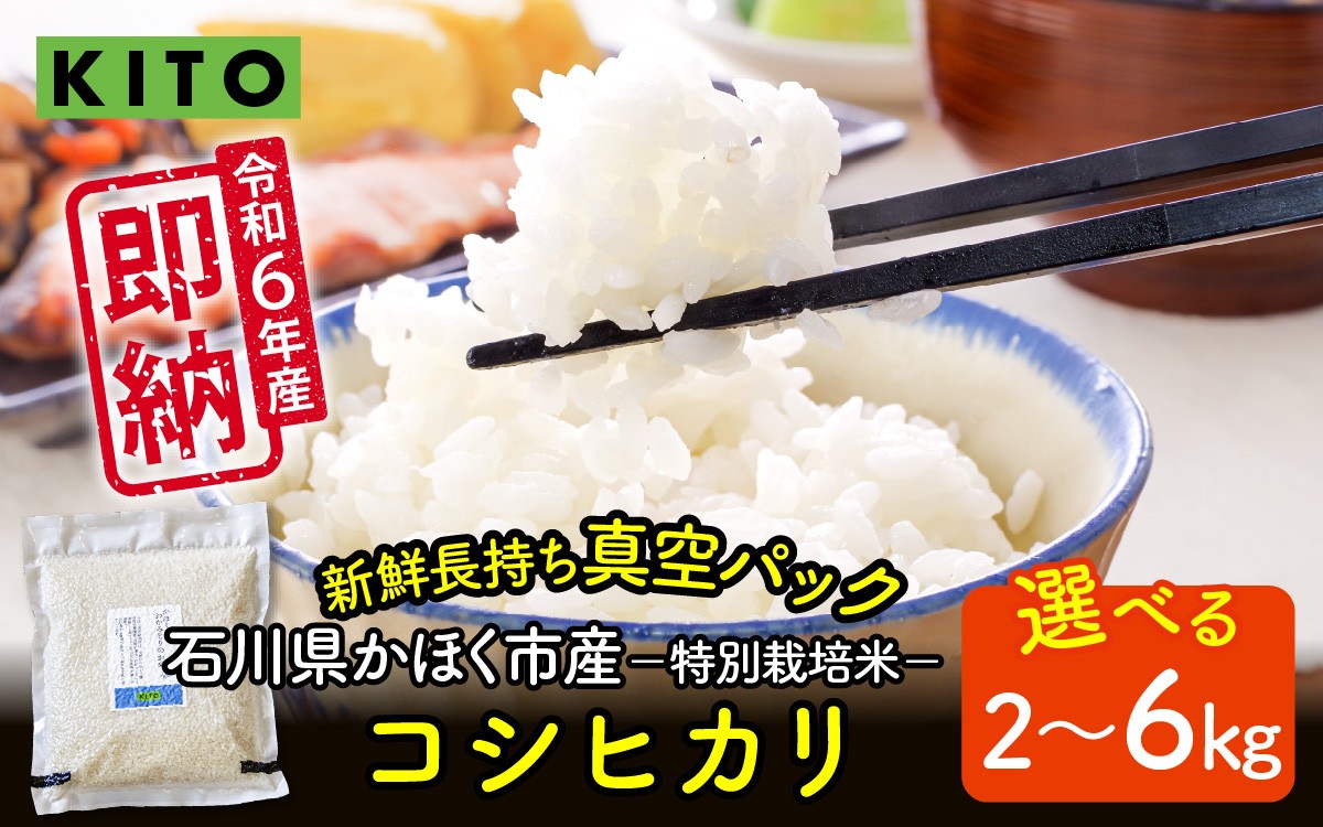 
            【令和6年産】【選べる容量】石川県かほく市産 こしひかり 2kg～6kg 特別栽培米| KITO 即納 コシヒカリ 小分け 精米 白米 お米 こめ コメ 2キロ 6キロ 単一原料米 国産 食品 常温 ご飯 お取り寄せ 送料無料
          