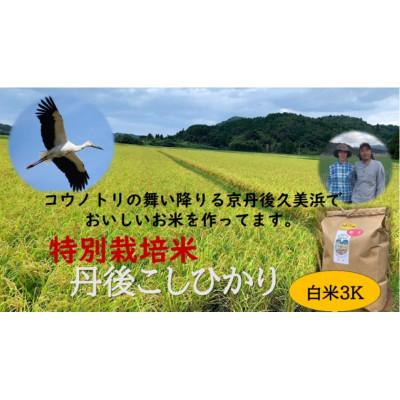 ふるさと納税 京丹後市 【先行予約】令和7年産 丹後こしひかり 白米3kg【特別栽培米】 精米 | 