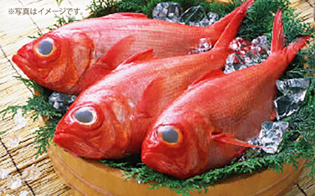 高知県産 天然 金目鯛 約1.3kg?1.5kg 〈2025年2月?発送〉 /内臓・うろこ処理済み 刺身 煮付け たい タイ キンメダイ 【株式会社　四国健商】[ATAF004]