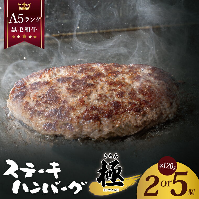 【ふるさと納税】黒毛和牛　A5ランク　ステーキハンバーグ 極 120g×5食入【埼玉県　春日部　国産　惣菜 冷凍　湯煎　レンジ調理　レンチン】（DH001）