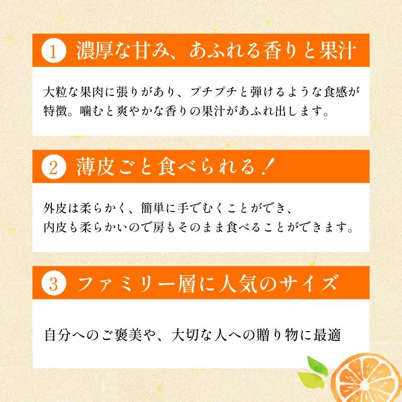 【先行予約】宗方印 はるみ（家庭用）約2kg