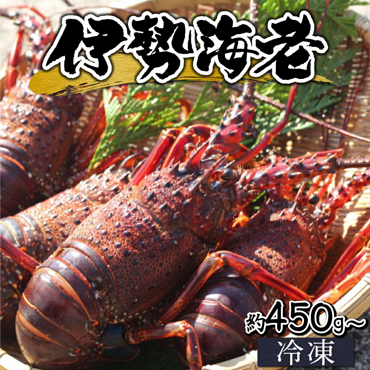 【ふるさと納税】【先行予約】【数量限定】＜生冷凍＞宮崎県串間産 天然伊勢エビ(約450g〜800g) 串間産の伊勢エビを鮮度そのままにお届け！ 生のまま冷凍しているのでお刺身・焼物・味噌汁でも頂けます！【豊漁丸】【HRISR】