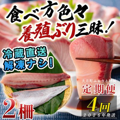 ふるさと納税 大月町 【定期便4回】冷蔵 養殖ぶり 2柵 セット 朝〆 鰤 ブリ 刺身 生食用 高知県 大月町 産地直送