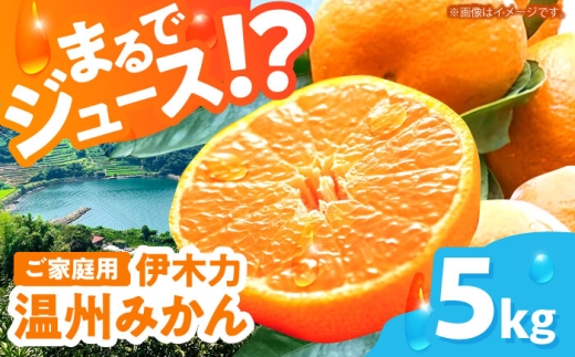 ※【2027年1月より順次発送／先行予約】伊木力温州みかん5kg(ご家庭用、箱入り) / 伊木力 温州みかん みかん ミカン 蜜柑 佐瀬 諫早 多良見 長崎 / 末永果樹園 [AHBD003]