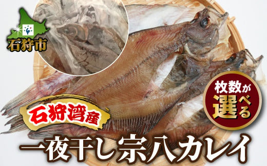 
一夜干し宗八カレイ（3枚～12枚）｜ふるさと納税 石狩市 かれい 鰈 魚 干物 北海道
