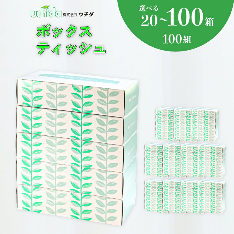 【ふるさと納税】 ボックスティッシュ 選べる容量 20箱 40箱 60箱 100箱 定期便 1箱100組 (200枚) 北欧風デザイン ティッシュペーパー ティッシュ 日用品 消耗品 生活用品 常備品 まとめ買い 大容量 雑貨 必需品 紙 パルプ 高品質 ソフト 災害 備蓄 防災 送料無料