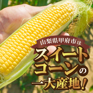 【ふるなび限定】〈2025年度配送分〉ゴールドラッシュ 10～12本 FN-Limited とうもろこし ゴールドラッシュ 先行予約 2025年 とうもろこし 10本～12本 山梨県産 甲府市産 数量