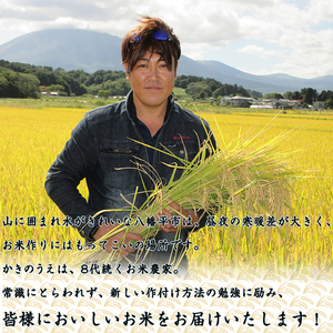 ひとめぼれ 玄米 10kg ／ 米 産地直送 【かきのうえ】