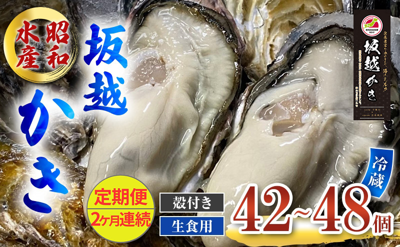 定期便 牡蠣 生食用 坂越かき 殻付き 42～48個《2ヶ月連続お届け》 昭和水産 [ 生牡蠣 真牡蠣 かき カキ 冬牡蠣 ]