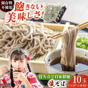 【ふるさと納税】船食製麺の生そば約120g×10玉セット 自家製つけつゆ付き【有限会社 船食製麺】[AKAL001]