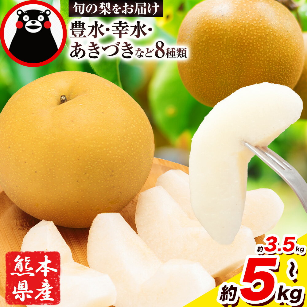 【ふるさと納税】＜2026年先行予約＞ 梨 くまもと梨 秋 旬 なし 幸水 豊水 先行 果物 くだもの フルーツ 送料無料 あきづき 甘太 新高 新興 約3.5kg 5玉〜15玉前後 熊本県産【着日指定不可】《8月下旬-11月中旬頃出荷》旬 果物 お取り寄せ ナシ