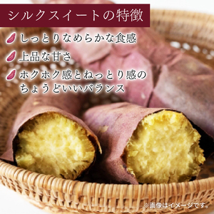 さつまいも 訳あり シルクスイート 約 5kg 土付き さつまいも