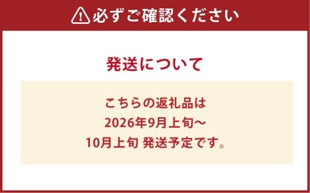 種無しぶどう詰合せ2房（合計1.2kg以上） シャインマスカット ニューピオーネ ぶどう 葡萄 ブドウ 果物 フルーツ 詰め合わせ セット 岡山県 倉敷市【2026年9月上旬～10月上旬まで順次発送予