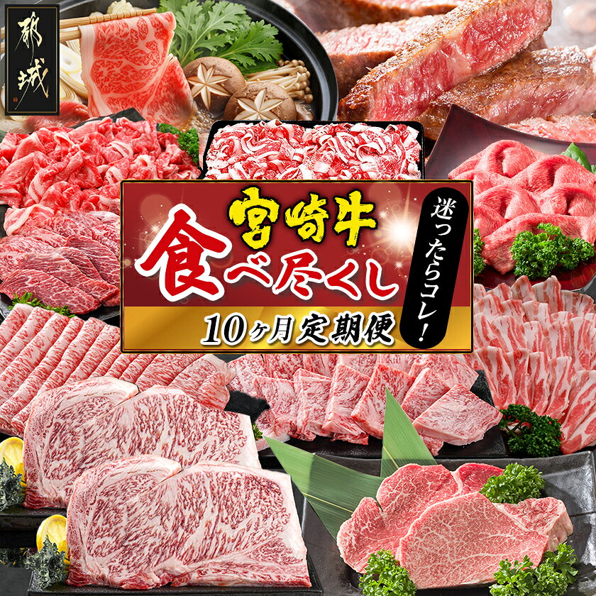 【ふるさと納税】迷ったらコレ！宮崎牛食べ尽くし定期便(10ヶ月) - 牛肉 バラ/赤身/サーロインステーキ/ヒレステーキ/ロース/焼き肉/しゃぶしゃぶ/すき焼き/スライス/切り落とし Mの国黒豚 豚肉 送料無料 T120-0101【宮崎県都城市】