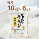 【ふるさと納税】【全6回定期便】【令和6年産新米】たんとう米（ななつぼし）10kg《厚真町》【とまこまい広域農業協同組合】 米 お米 白米 ご飯 ななつぼし 北海道 定期便[AXAB021]