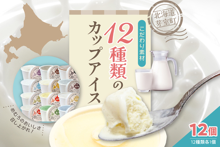 カップ アイスクリーム 95ml × 12 種 セット みるく 山わさび かぼちゃ とうもろこし 黒豆きなこ あずき 抹茶 黒ごま チョコア（チョコ ココア） チョコヒー（チョコ コーヒー）ラムレーズン ヨーグルト 牛乳 スイーツ 詰め合わせ 北海道 十勝 芽室町me008-002c