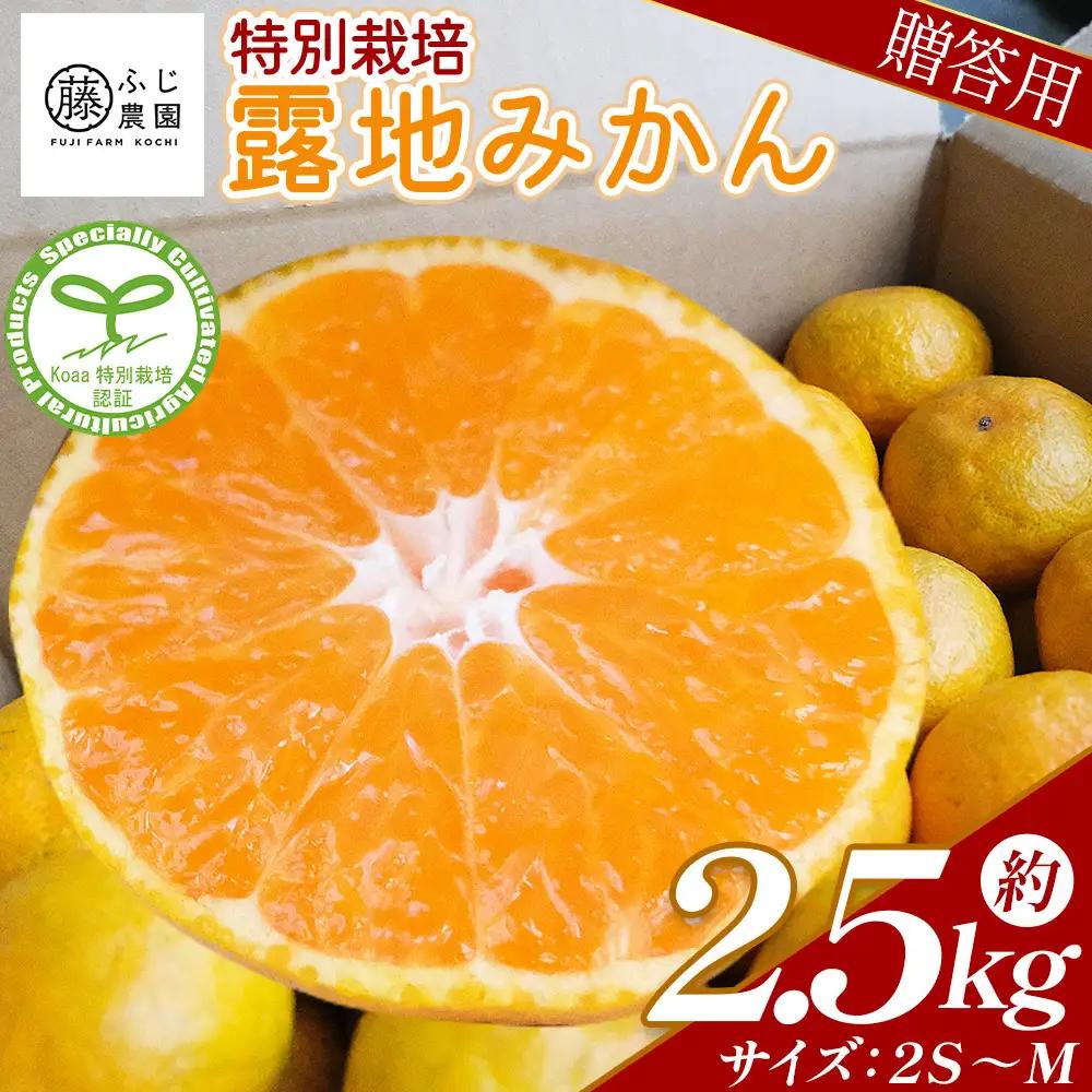 【特別栽培みかん】【2026年10月以降順次配送分】ふじ農園 贈答用 2.5kg 小玉 みかん fn-0009