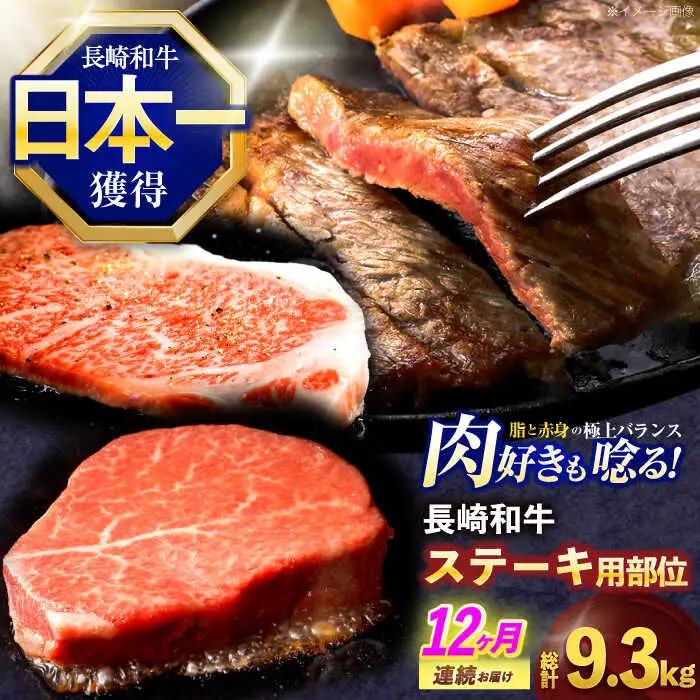 【12回定期便】ステーキ 牛肉ステーキ用部位×12回定期便 [OCE108]