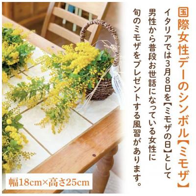 ふるさと納税 水戸市 【3月上旬より発送・数量限定】ミモザのバスケットアレンジ(限定品) |  | 01