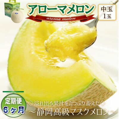 【ふるさと納税】【毎月定期便】アローマメロン(中玉)1玉・6ヵ月毎月お届け【静岡高級マスクメロン】全6回_ メロン めろん アローマメロン 定期便 化粧箱 果物 くだもの フルーツ デザート 産直 産地直送 静岡県 送料無料 【配送不可地域：離島・北海道・沖縄県】【4006988】