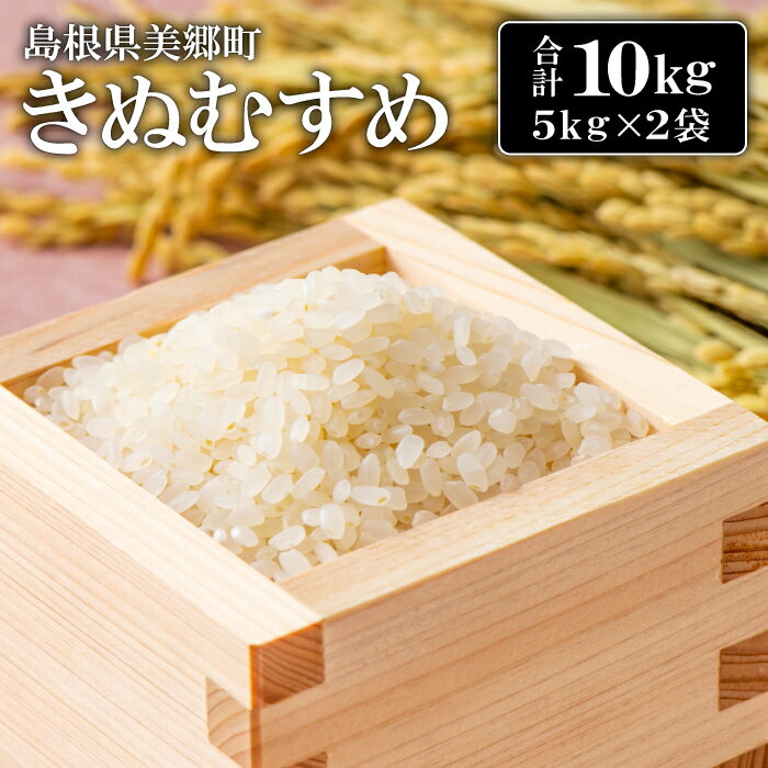 【ふるさと納税】美郷町産 きぬむすめ お米 10kg 5kg×2袋 精米 白米 ブランド米 弁当 ご飯 おにぎり 特産品 お取り寄せ