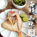 【ふるさと納税】 海鮮三昧 干物 5種 詰め合わせ セット 【送料無料】 海鮮 海産物 海の幸 魚 干物 盛り合わせ セット 色々 たくさん 冷凍 お取り寄せ グルメ 日本海 旬 魚 魚介 加工品 アジ イワシ ニギス アジ一夜干 連子鯛