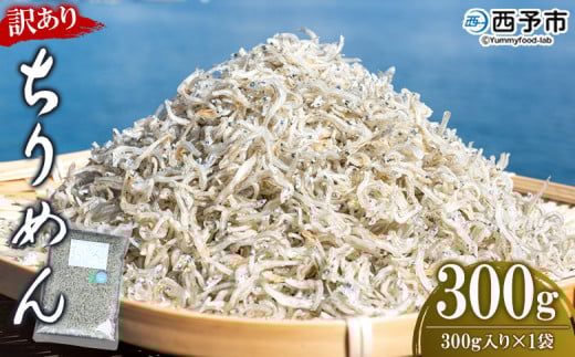 ＜【天日干し】　わけあり　お徳用ちりめん　300g＞　しらす　じゃこ　さかな　海産　海鮮　おつまみ　おやつ　魚　西予市　明浜