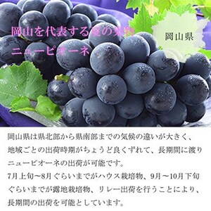 【2025年6月発送】岡山県産　ニューピオーネ　600g×1房【配送不可地域：離島・北海道・沖縄県】【1308138】
