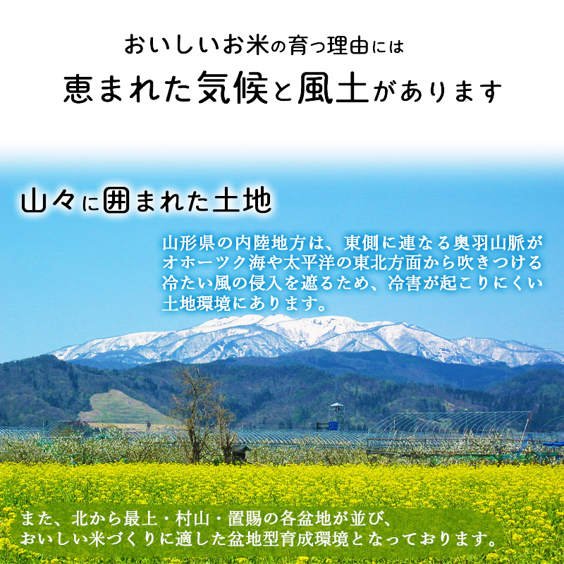 ＜2024年11月下旬開始＞ 【令和6年産 6回定期便】 はえぬき計30kg！お米定期便（5kg×6回）！清流寒河江川育ち 山形産はえぬき 2024年産　058-C-JA022-2024-11下 20