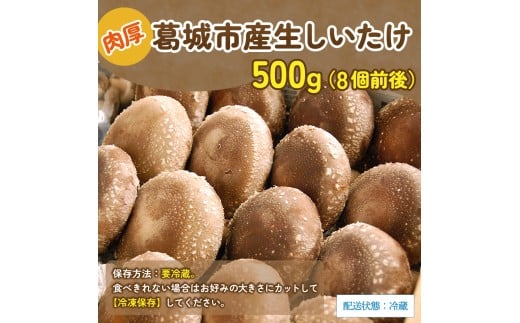 葛城市産生しいたけ（500g） 8個前後 椎茸 シイタケ 生 国産 セット 500g 新鮮 菌床 スライス 奈良県 葛城市【kobo003】