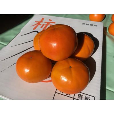 ふるさと納税 石岡市 【先行受付】富有柿L　秋の果物　茨城の柿(16玉程度) |  | 02