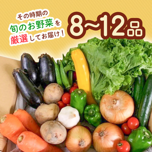 阿波の国海陽町　旬のお野菜詰め合わせセット１０‐１３品