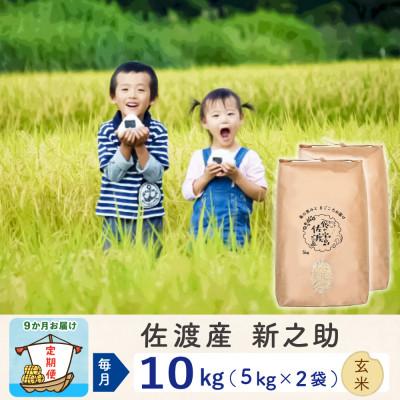 ふるさと納税 佐渡市 【毎月定期便】佐渡島産新之助 玄米10kg(5Kg×2袋)　全9回