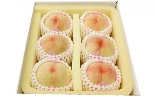 
            桃 2025年 先行予約 特選 岡山の桃 6玉 約1.3kg 晩生（おくて）種 もも モモ 岡山県産 国産 フルーツ 果物 ギフト いろは堂
          